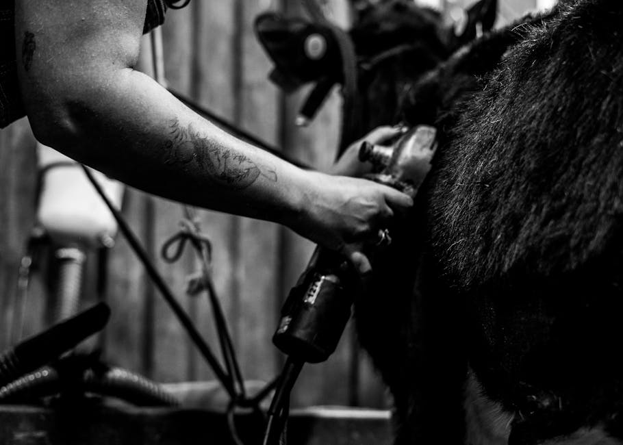 Gamaschen für Pferde