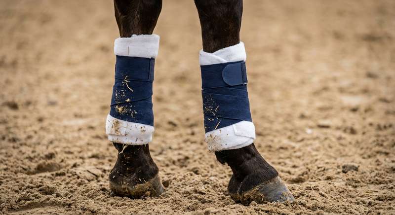 🛒 Top-Bandagen 2026