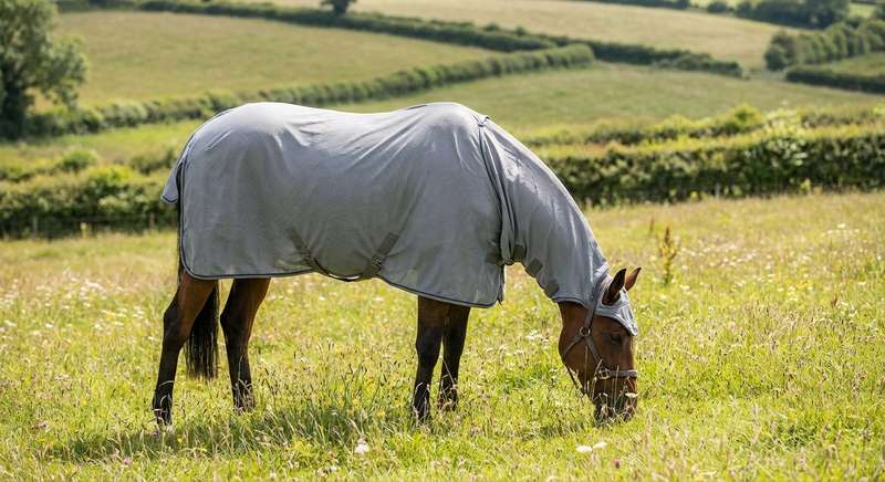 Ekzemerdecke Pferd Vergleich Gewebe