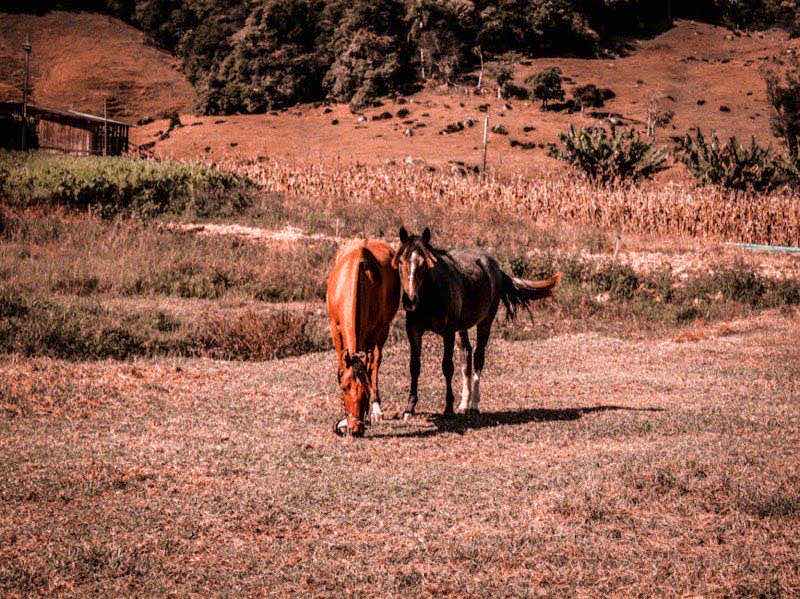 🔥 Figur Reiterhosen: Alles über Ursachen, Behandlung und Selbsthilfe