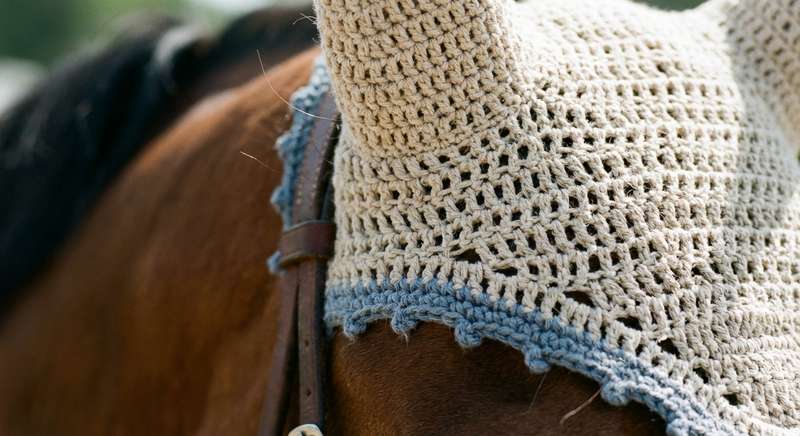 Fliegenhaube Pferd beim Reiten