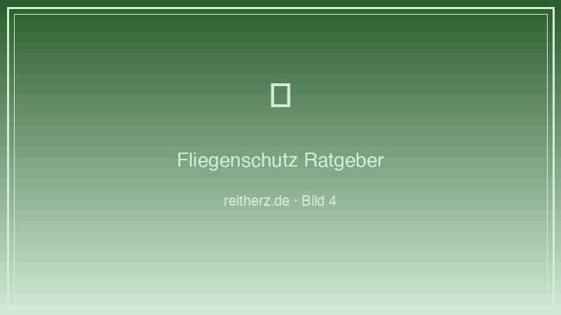 Fliegenschutz Praxistipps