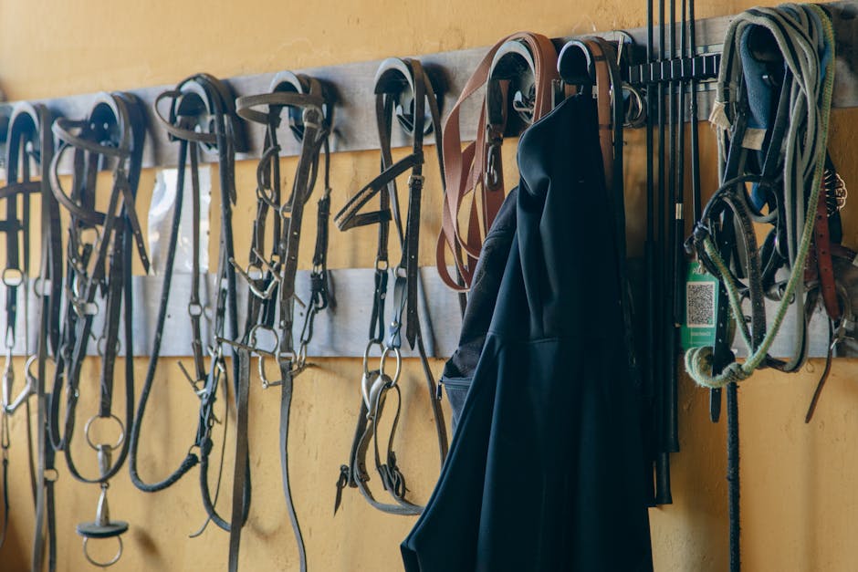 Fundi: Die Bedeutung und Geschichte eines politischen Begriffs 📊