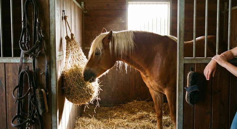 🌿 Heunetz für Ponys und Übergewichtige