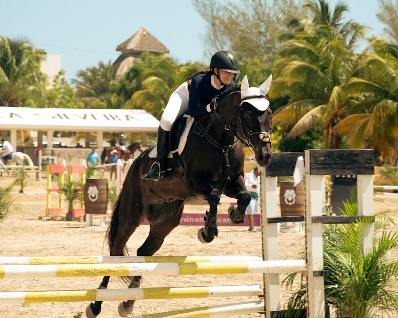 Reitsportartikel bei Krämer Braunschweig