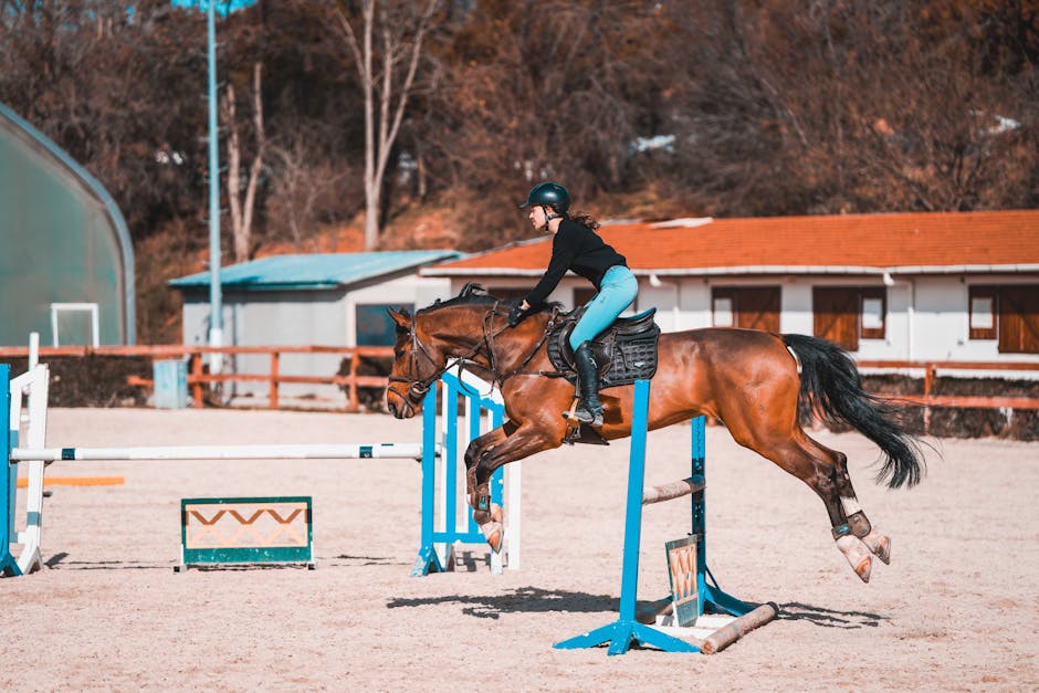 Krämer Reiterhosen 🐴: Die ultimative Reithose für Reiter