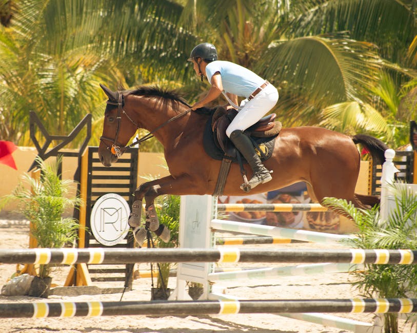 Pferd Longe 🐴: Die ultimative Anleitung