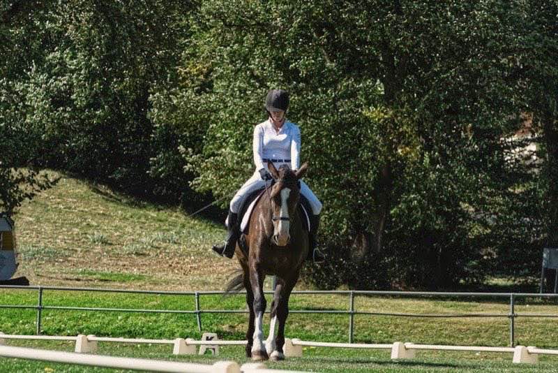 Reiten Longe 🐴: Die ultimative Anleitung für Pferdeausbildung