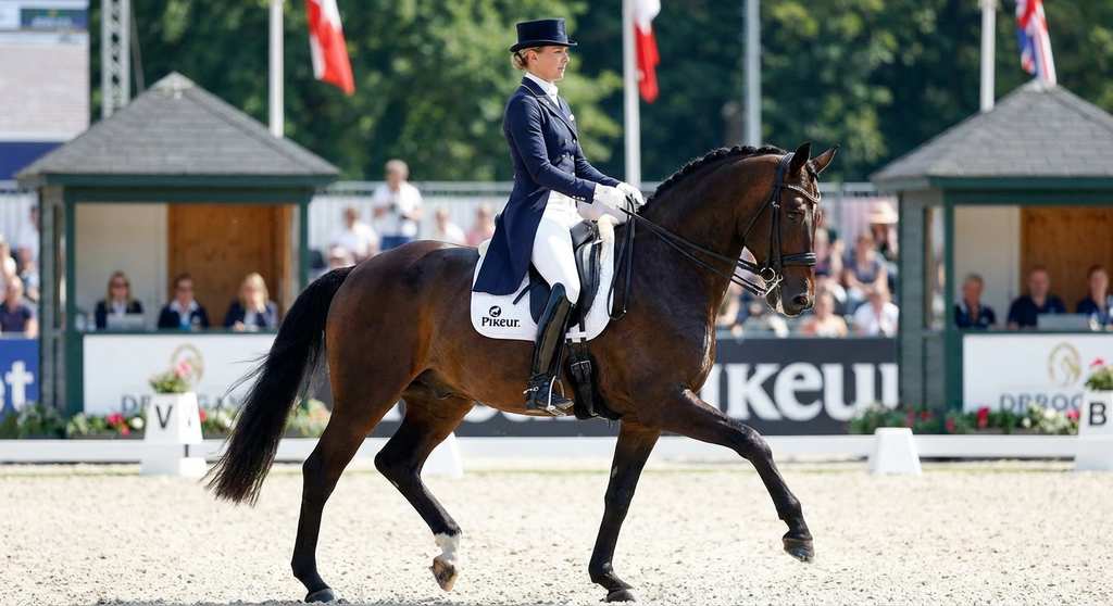 Reiterin im Sattel Damen Reiterhose Vollbesatz Pikeur