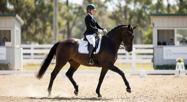 Reiterin mit Dressurgerte beim Training