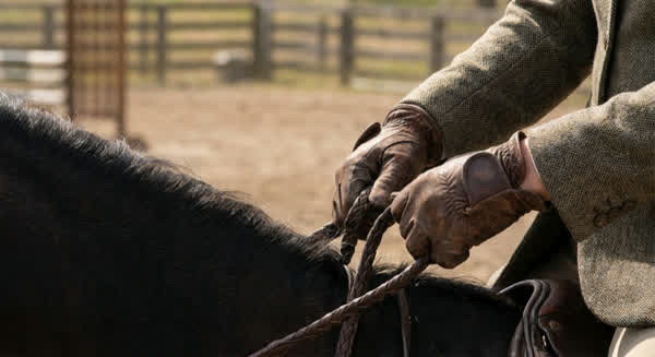 Reithandschuhe – Reiter hält Zügel mit Lederhandschuhen