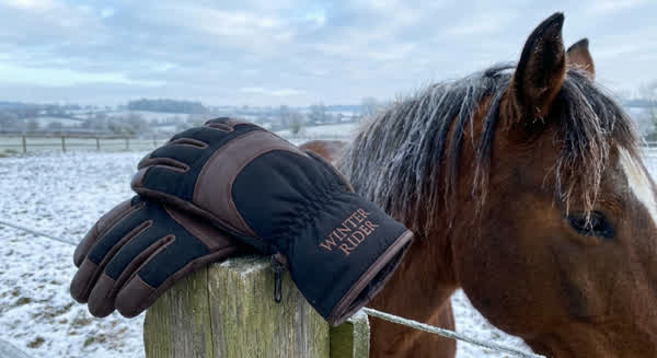Winterreithandschuhe – wärmt und schützt bei kaltem Wetter