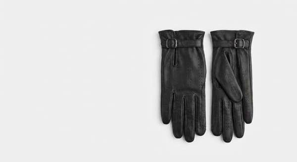 Reithandschuhe Damen 🐴: Stylische & funktionale Modelle 2026