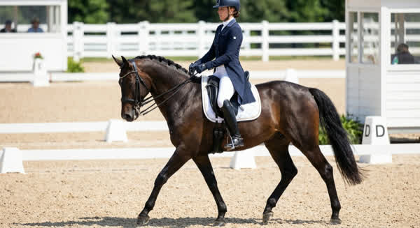 Reiterin in hohen Dressurstiefeln – eleganter Dressursport