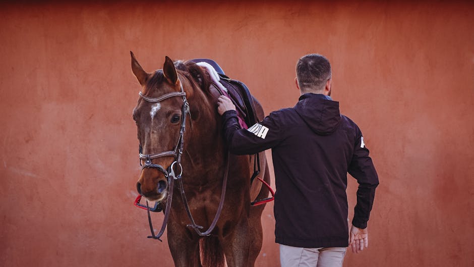 Reitstiefel mit Glitzer