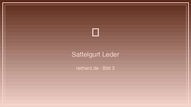 Sattelgurt Leder richtige Länge anlegen