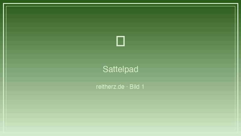 Sattelpad Test und Vergleich 2026