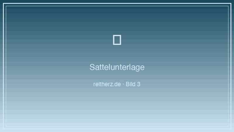 Sattelunterlage Pferd korrekte Positionierung