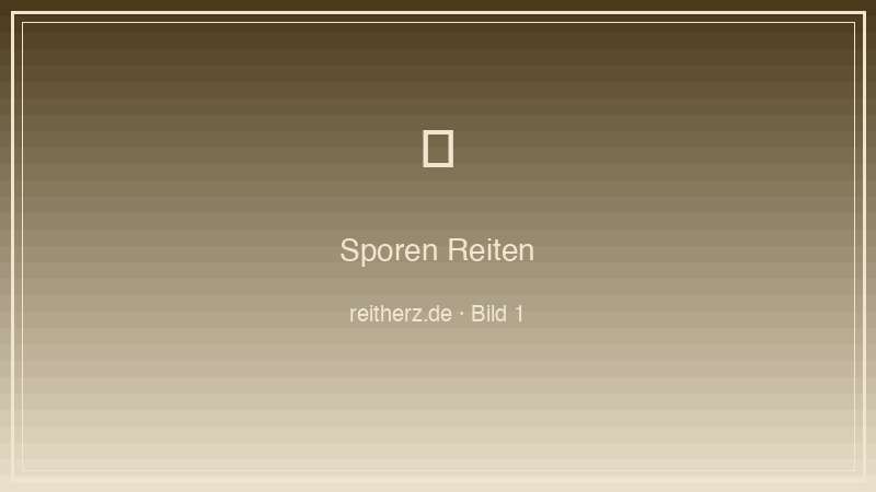 Sporen Reiten Kaufratgeber 2026