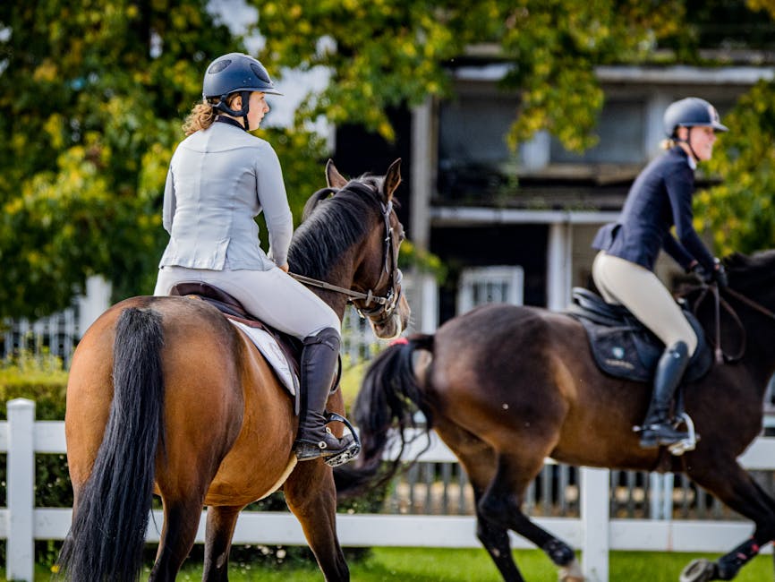Pferdestrick aus Leder