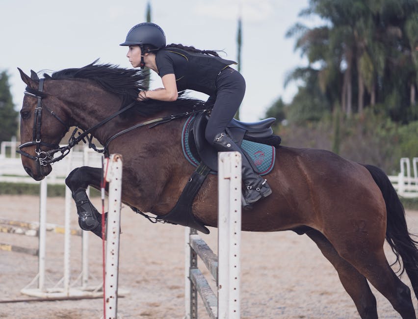Trense wie Micklem: Die perfekte Lösung für Ihr Pferd 🐴