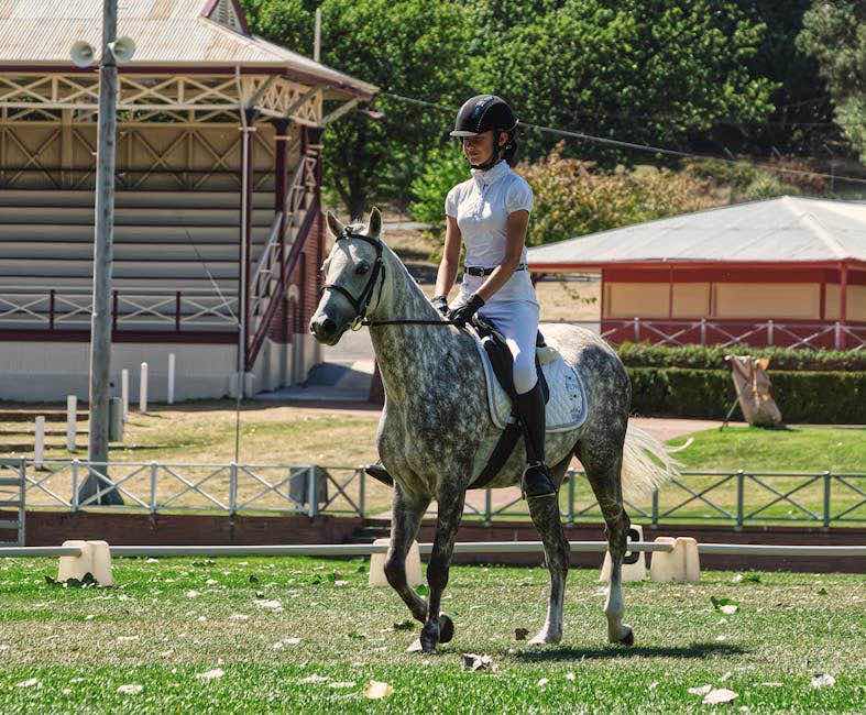 Trust Gebiss 🐴: Die beste Wahl für Ihr Pferd